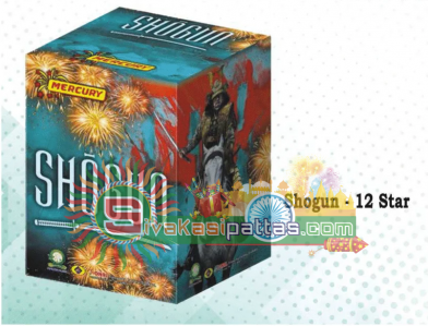 12 shogun_amu